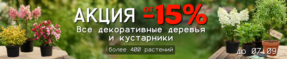 декор от -15% декор от -15%