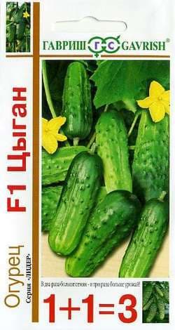 Огурец Цыган F1 серия 1+1=3 автор. Огурец Цыган F1 серия 1+1=3 автор. фото