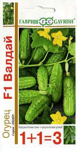 Огурец Валдай F1 серия 1+1=3 автор. Огурец Валдай F1 серия 1+1=3 автор. фото