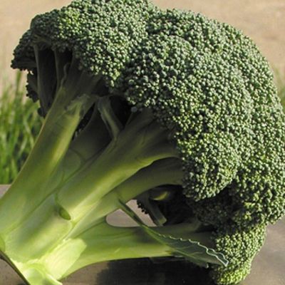 Капуста Брокколи Айронмен F1(Clause/Франция) Капуста Брокколи Айронмен F1(Clause/Франция) фото