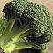 Капуста Брокколи Айронмен F1(Clause/Франция) Капуста Брокколи Айронмен F1(Clause/Франция) фото