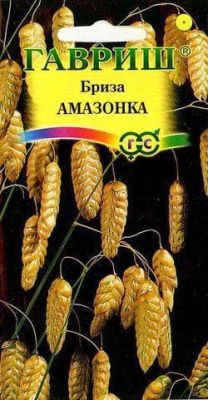 Бриза трясунка Амазонка фото