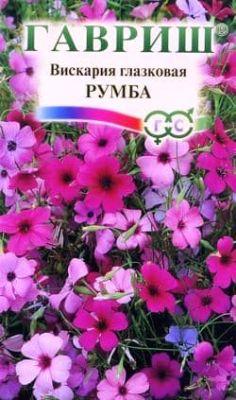 Вискария глазковая Румба Вискария глазковая Румба фото