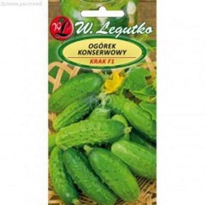 Огурец Крак (Польша) Огурец Крак (Польша) фото