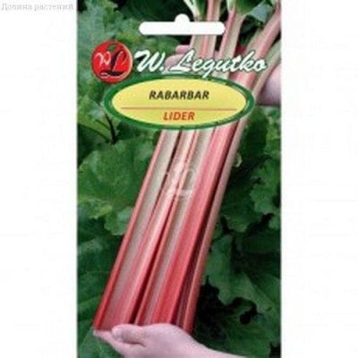 Ревень Лидер (Польша) Ревень Лидер (Польша) фото